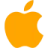 iOS browser access icon