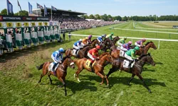 Horse racing betting at betXchange